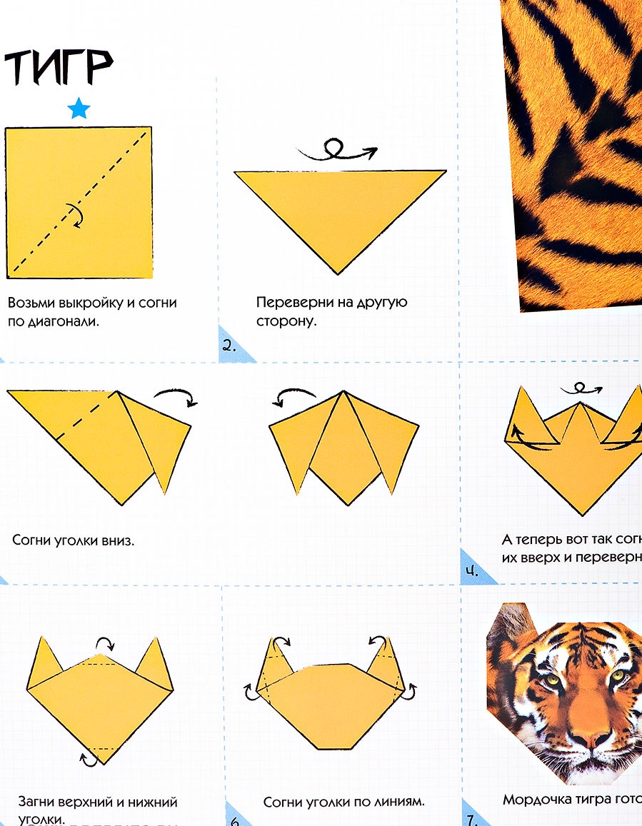 Моя 3Д-энциклопедия с выкройками оригами - Дикие джунгли  